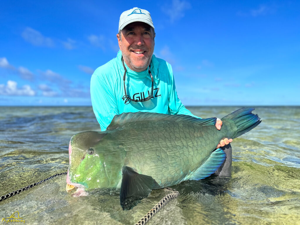 Fly fishing for Bumphead Parrotfish - FlyCastaway