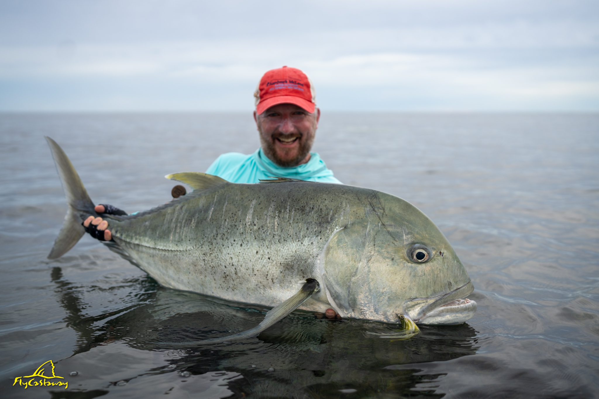 Featured Image - Providence Blog: 12 – 19 March 2024